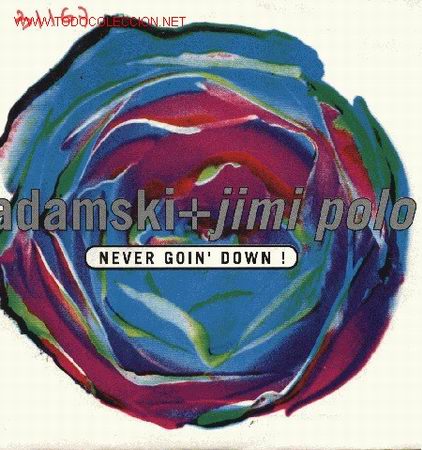 Discos de vinilo: Adamski + Jimi Polo - Foto 1