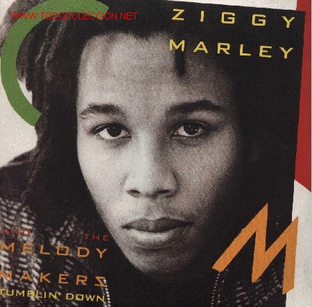 Discos de vinilo: Ziggy Marley & The Melody Makers - Foto 1