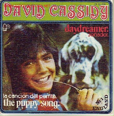 Discos de vinilo: DAVID CASSIDY  DISCO SINGLE - Foto 1