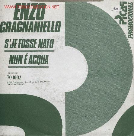 Discos de vinilo: Enzo Gragnaniello - Foto 1