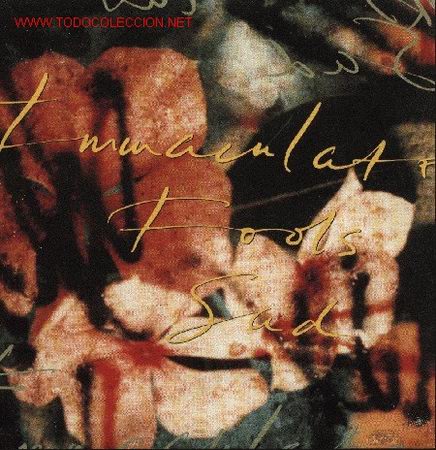 Discos de vinilo: Immaculate Fools - Foto 1