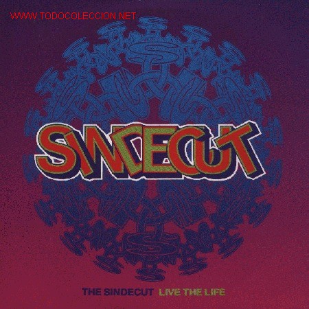 Discos de vinilo: The Sindecut - Foto 1