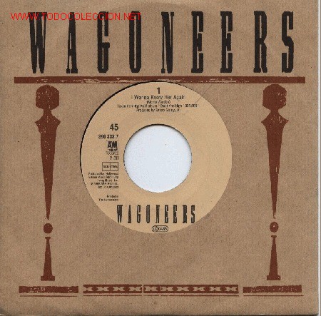 Discos de vinilo: Wagoneers - Foto 1