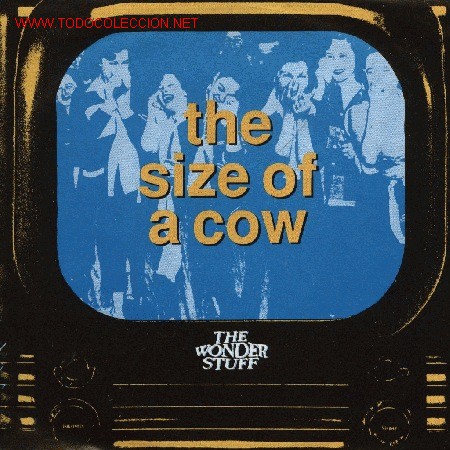 Discos de vinilo: The Wonder Stuff - Foto 1