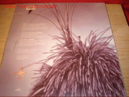 Discos de vinilo:   - Foto 2