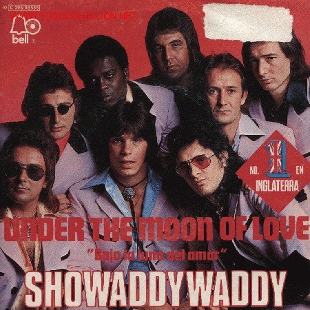 Discos de vinilo: Showaddywaddy - Foto 1