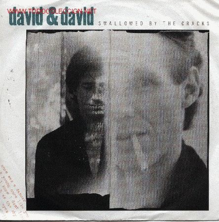 Discos de vinilo: David & David - Foto 1