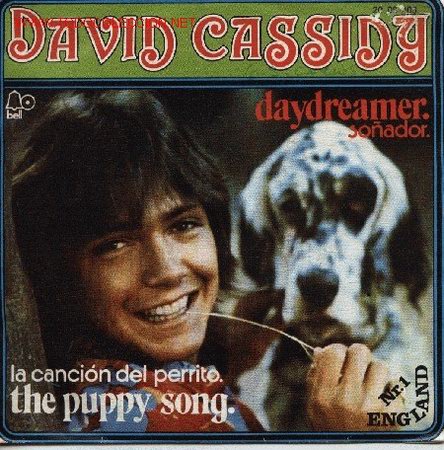 Discos de vinilo: David Cassidy - Foto 1
