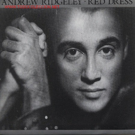 Discos de vinilo: Andrew Ridgeley - Foto 1