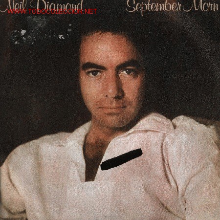 Discos de vinilo: Neil Diamond - Foto 1