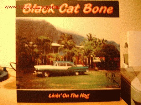 Discos de vinilo: BLACK CAT BONE --- LIVING ON THE HOG - Foto 1
