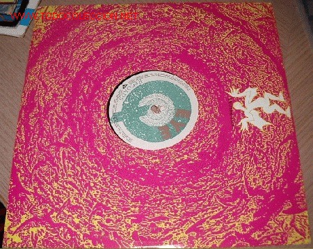 Discos de vinilo: zyon - no fate - Foto 1