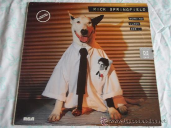 Discos de vinilo: RICK SPRINGFIELD ( WORKING CLASS DOG ) GERMANY-1981 LP33 RCA - Foto 1