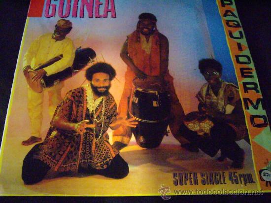 Discos de vinilo: guinea paquidermo-maxi - Foto 1