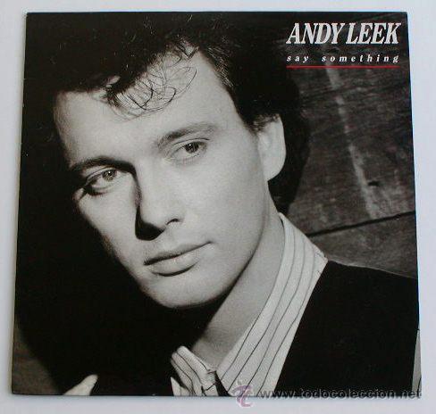 Discos de vinilo: ANDY LEEK - Say something (LP) - Foto 1