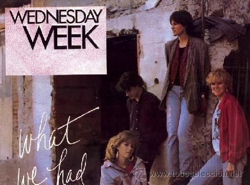 Discos de vinilo: WEDNESDAY WEEK - What we had (LP) - NUEVO - Foto 1