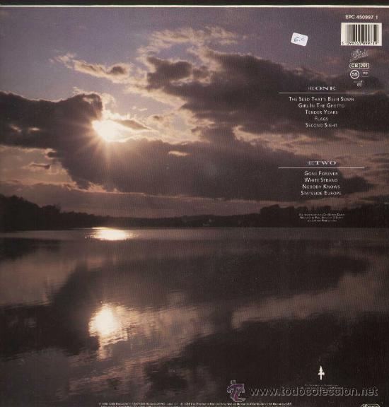 Discos de vinilo: CRY / Crimes of conscience (LP EPIC de 1987) - Foto 3