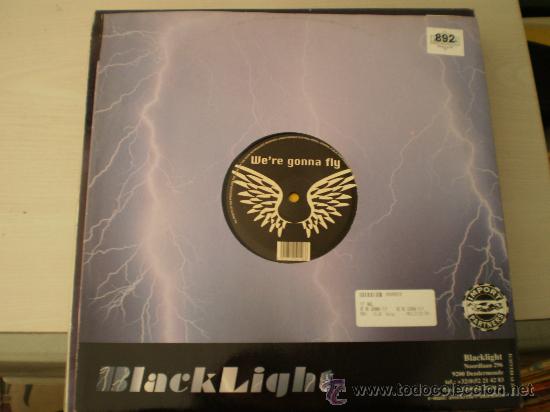 Discos de vinilo: Maxi 12&rdquo;. We&acute;re gonna fly - Foto 1