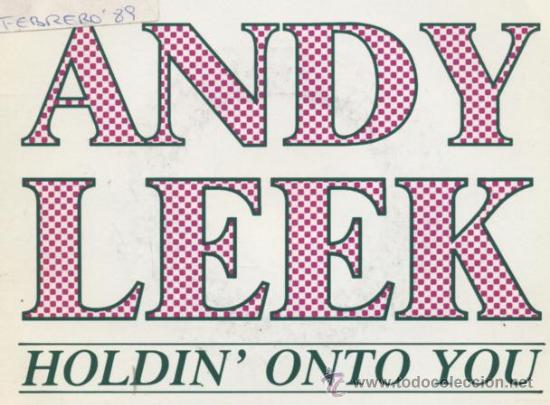 Discos de vinilo: Andy leek- holdin onto you - Foto 1