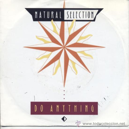 Discos de vinilo: Natural selection- do anything - Foto 1