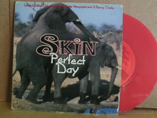 Discos de vinilo: SKIN ----- PERFECT DAY  EP - Foto 1