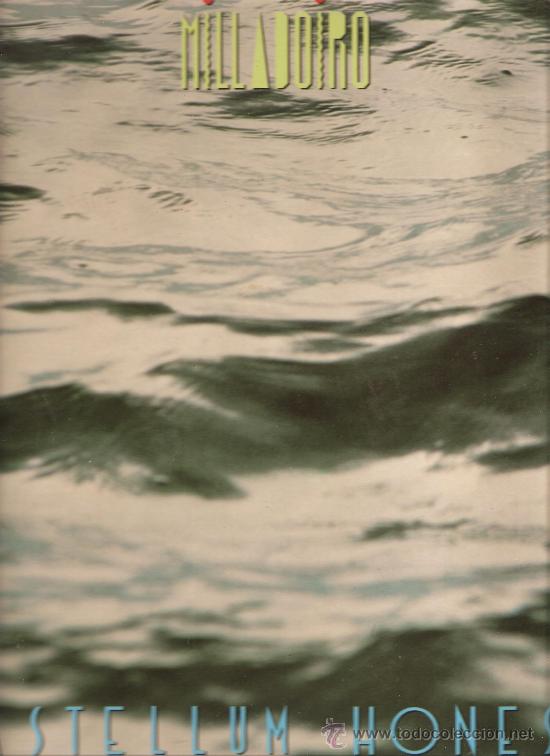 Discos de vinilo: LP MILLADOIRO : CASTELLUM HONESTI - Foto 1