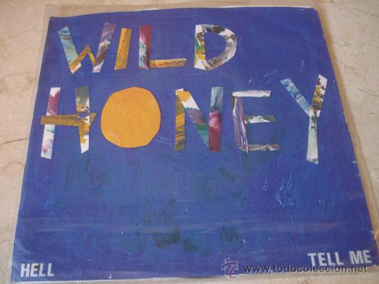 Discos de vinilo: JERRY KITZROW & WILD HONEY - HELL - GALT RECORDS 1993 - Foto 1