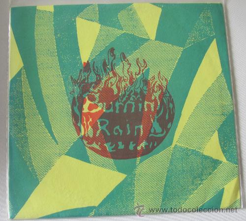 Vinyl records: THE BURNIN RAIN - CLIMB TO THE SKY - ROCKADELIC RECORDS USA - GARAGE PSYCHEDELIA -