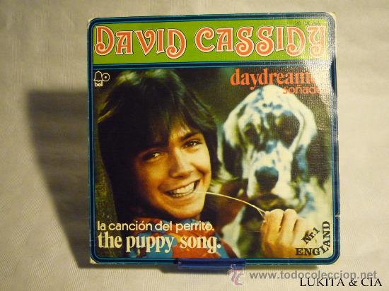 Discos de vinilo: DAVID CASSIDY - DAYDREAMER - Foto 1