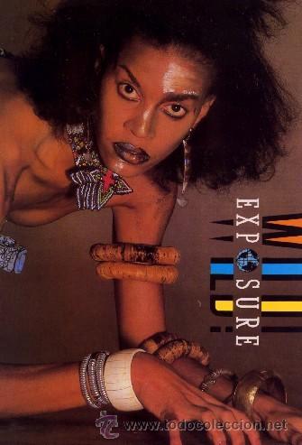 Discos de vinilo: EXPOSURE - Wild! (LP) - NUEVO - Foto 1