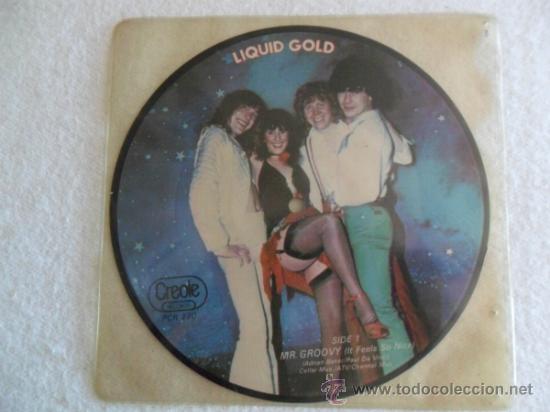 Discos de vinilo: LIQUID GOLD - MR. GROOVY 1979 PICTURE - Foto 1