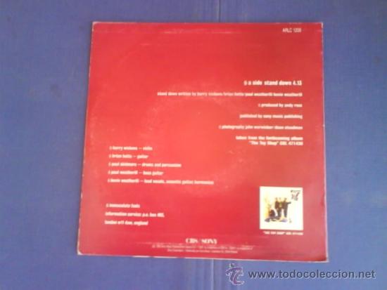 Discos de vinilo: IMMACULATE FOOLS  STAND DOWN   PROMO - Foto 2