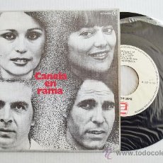 Discos de vinilo: CANELA EN RAMA - LA NOCHE NOS OFRECE/DIME QUE ME QUIERES ¡¡NUEVO!! (ZAFIRO SINGLE 1979) ESPAÑA. Lote 34608789