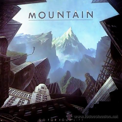 Discos de vinilo: MOUNTAIN - GO FOR YOUR LIFE (1985) - Foto 1