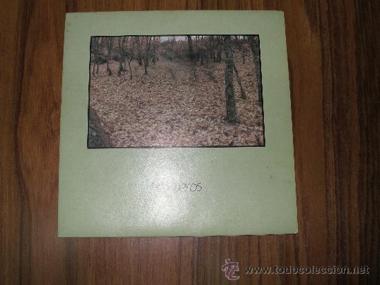 Discos de vinilo: Pasajeros - Gritar&eacute; - Foto 1
