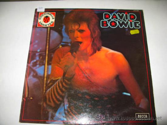 Discos de vinilo: LP DAVID BOWIE - Foto 1