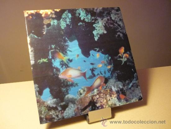 Discos de vinilo: CIUDAD JARD&Iacute;N AT&Uacute;N Y ALGAS LP - Foto 1
