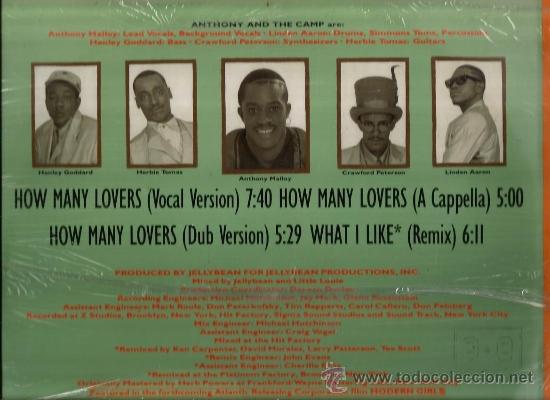 Discos de vinilo: MAXI ANTHONY AND THE CAMP : HOW MANY LOVERS - Foto 2