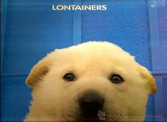 Discos de vinilo: LP LONTAINERS : NO SE SI VULL SER GRAN - Foto 1