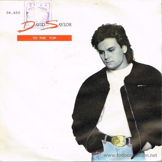 Discos de vinilo: David Saylor - To The Top - Single 1990 - Promo - Foto 1