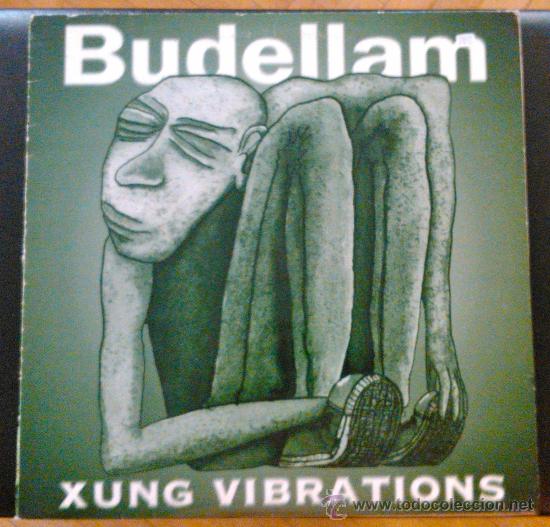 Discos de vinilo: BUDELLAM, XUNG VIBRATIONS - LP CON LIBRO - Foto 1