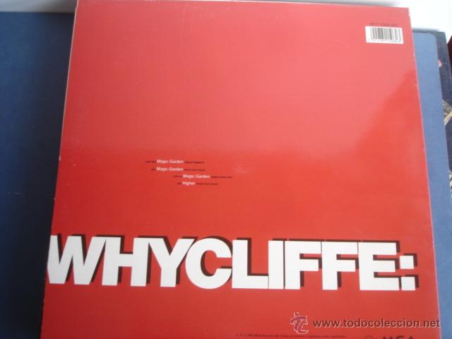 Discos de vinilo: WHYCLIFFE MAGIC GARDEN REMIXES - Foto 2