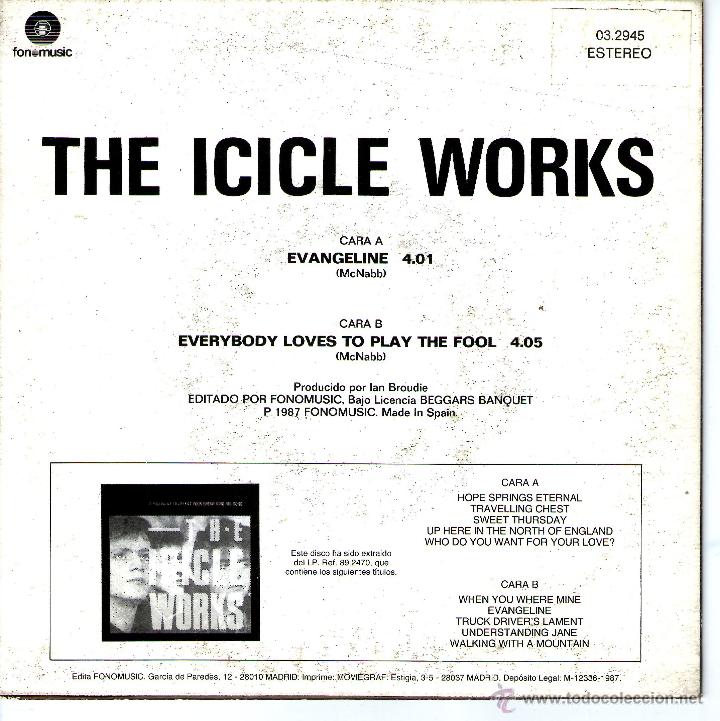 Discos de vinilo: THE ICICLE WORKS - Foto 2