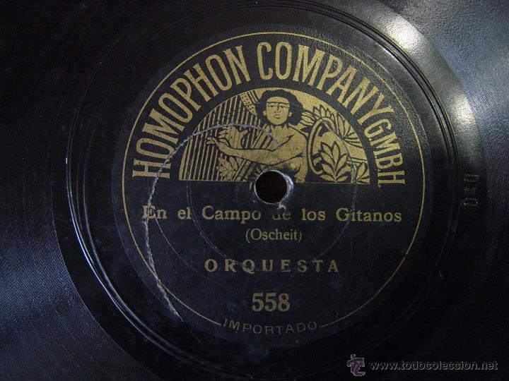 Discos de vinilo: &iexcl;Austria m&iacute;a! Marcha (preis) y En el campo de los gitanos (Oscheit) Orquesta. - Foto 1