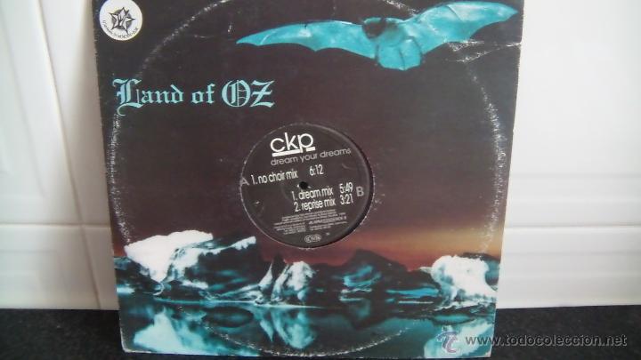 Discos de vinilo: BAND OF OZ - Foto 1