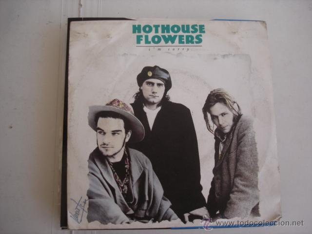 Discos de vinilo: HOTHOUSE FLOWERS   I&acute;M SORRY - Foto 1