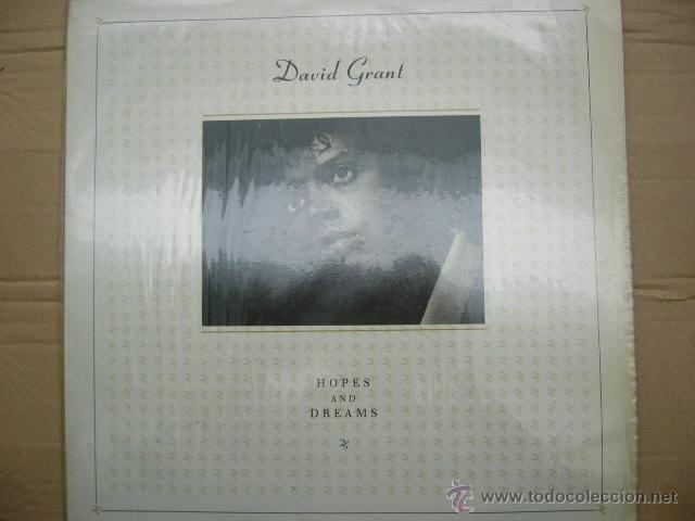Disques de vinyle: DAVID GRANT. HOPES AND DREAMS. CHRYSALIS. RCA, 1985. ESPA&Ntilde;A.