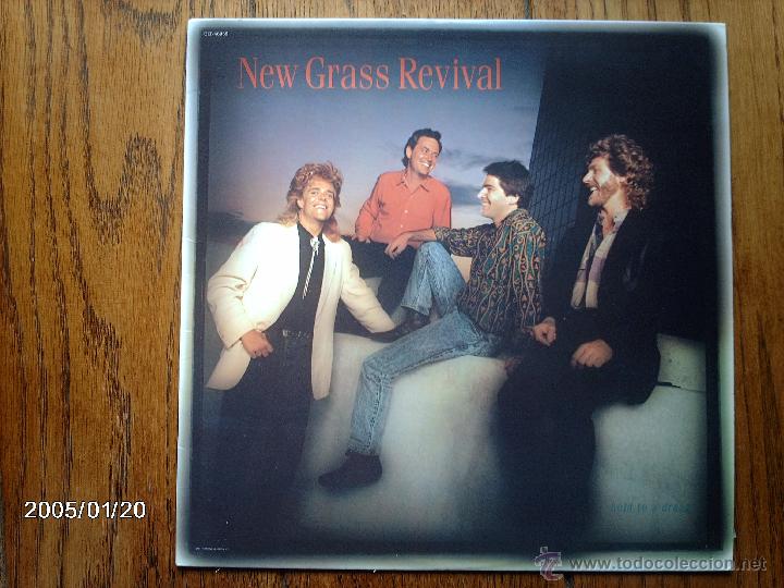 Discos de vinilo: new grass revival  -  hold to a dream - Foto 1