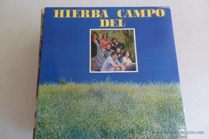 Discos de vinilo: HIERBA DEL CAMPO 1977 - Foto 1