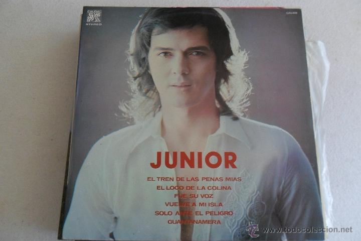 Discos de vinilo: JUNIOR - EL TREN DE LAS PENAS MIAS 1976 - Foto 1